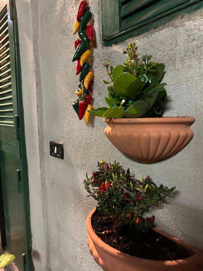 Tiny House - Spaccanapoli Apartment Luaran gambar